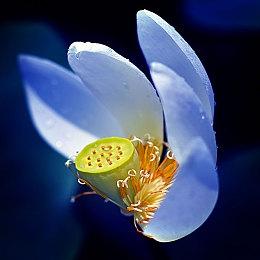 《暗黑破坏神4：憎恨之躯》资料片将于24年底推出